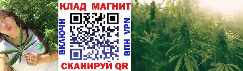 Купить закладку ГАШ  Галлюциногенные грибы  СК  Конопля  ТГК  COCAIN  АМФЕТАМИН  Мефедрон  Пойковский