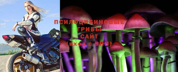 ГАЛЛЮЦИНОГЕННЫЕ ГРИБЫ Кулебаки