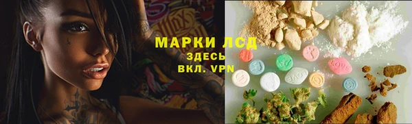 ГАЛЛЮЦИНОГЕННЫЕ ГРИБЫ Кулебаки