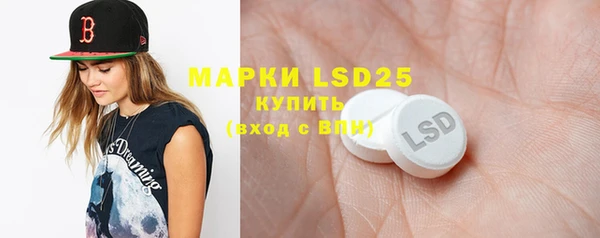 ГАЛЛЮЦИНОГЕННЫЕ ГРИБЫ Кулебаки