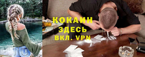 ГАЛЛЮЦИНОГЕННЫЕ ГРИБЫ Кулебаки