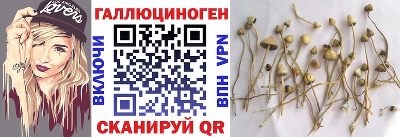 Галлюциногенные грибы ЛСД Купить закладки Пойковский